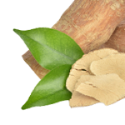 Tongkat Ali Root Extract