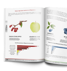 Inside All About The Prostate
