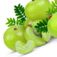 Amalaki (Phyllanthus Emblica)