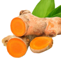 Turmeric Root